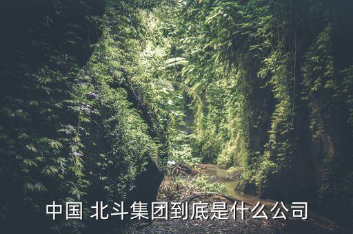 中國 北斗集團(tuán)到底是什么公司