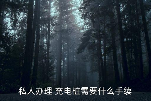 個人如何投資充電樁,6個充電樁一年能賺多少錢