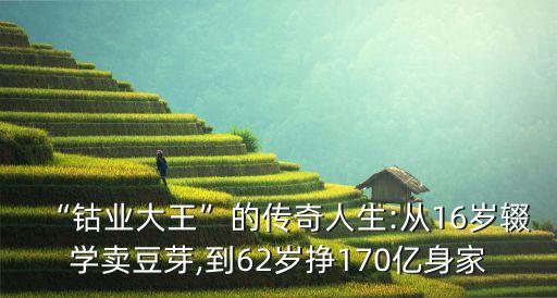 “鈷業(yè)大王”的傳奇人生:從16歲輟學(xué)賣豆芽,到62歲掙170億身家