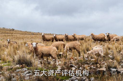 上海遠東資信