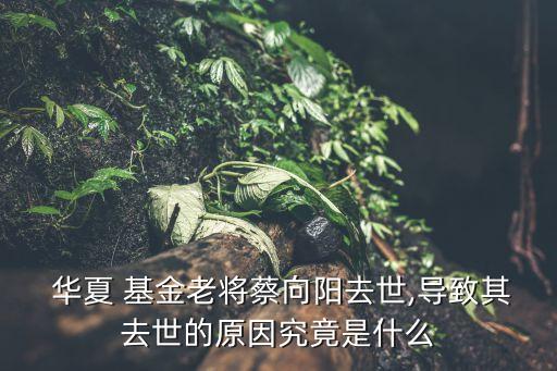  華夏 基金老將蔡向陽去世,導致其去世的原因究竟是什么