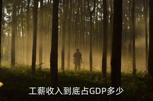 中國工資總額占gdp比例,工資總額占gdp比例說明什么