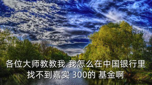 加實300基金吧,加實穩(wěn)健基金凈值