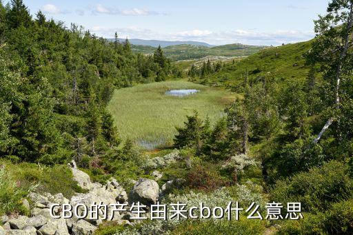 CBO的產(chǎn)生由來cbo什么意思