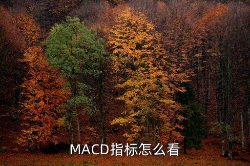 MACD指標怎么看