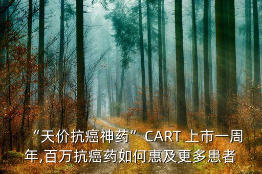 “天價(jià)抗癌神藥”CART 上市一周年,百萬抗癌藥如何惠及更多患者