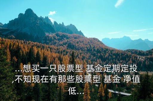 ...想買(mǎi)一只股票型 基金定期定投,不知現(xiàn)在有那些股票型 基金 凈值低...