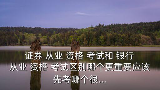  證券 從業(yè) 資格 考試和 銀行 從業(yè) 資格 考試區(qū)別哪個(gè)更重要應(yīng)該先考哪個(gè)很...