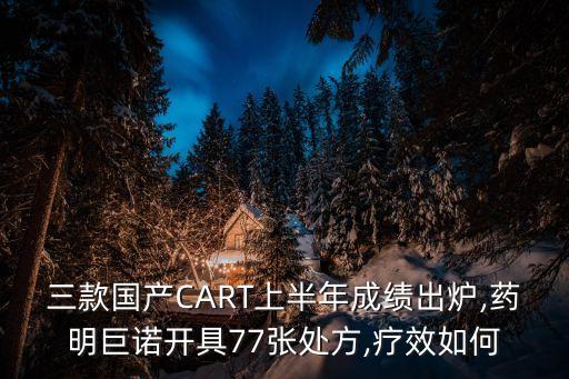 car一t相關上市公司,一道新能源是上市公司嗎