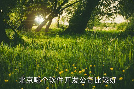  北京哪個軟件開發(fā)公司比較好