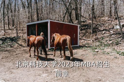  北京科技大學(xué)2023年MBA招生簡(jiǎn)章