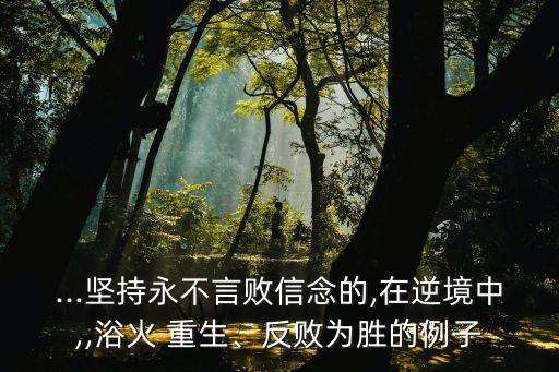 ...堅(jiān)持永不言敗信念的,在逆境中,,浴火 重生、反敗為勝的例子