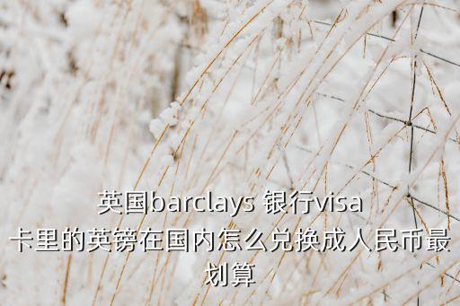 英國(guó)barclays 銀行visa卡里的英鎊在國(guó)內(nèi)怎么兌換成人民幣最劃算