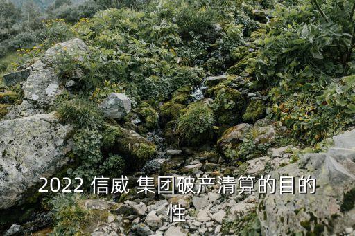 2022 信威 集團破產(chǎn)清算的目的性