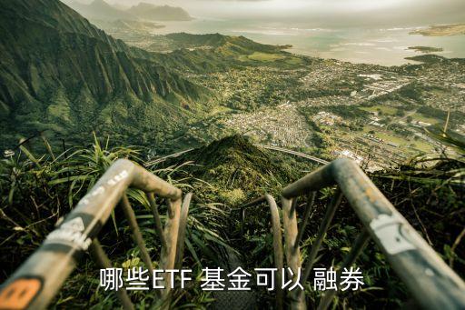 基金類(lèi)融資融券,etf基金可以融資融券嗎