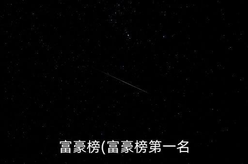 富豪榜(富豪榜第一名