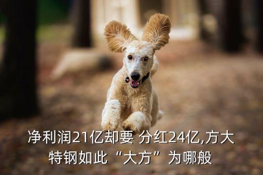 凈利潤(rùn)21億卻要 分紅24億,方大特鋼如此“大方”為哪般