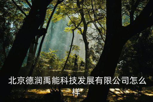  北京德潤禹能科技發(fā)展有限公司怎么樣