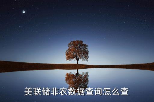 美聯(lián)儲(chǔ)非農(nóng)數(shù)據(jù)查詢?cè)趺床? class=