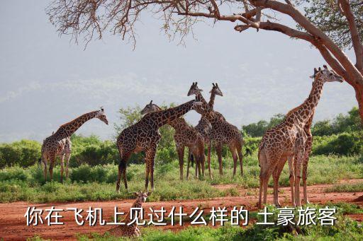 你在飛機(jī)上見過(guò)什么樣的 土豪旅客