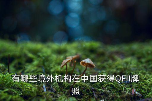 韓國投資金融控股公司,金融控股公司設(shè)立的現(xiàn)實意義