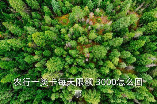 農(nóng)行一類卡每天限額 3000怎么回事