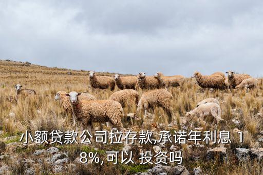 小額貸款公司拉存款,承諾年利息 18%,可以 投資嗎