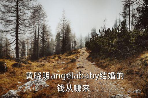  黃曉明angelababy結(jié)婚的錢從哪來