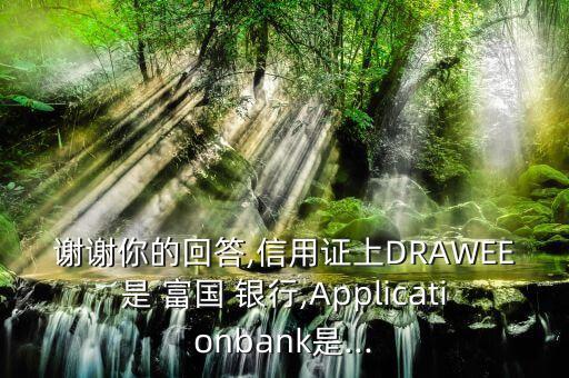 謝謝你的回答,信用證上DRAWEE是 富國(guó) 銀行,Applicationbank是...