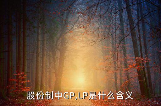 股份制中GP,LP是什么含義