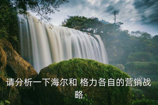 請(qǐng)分析一下海爾和 格力各自的營(yíng)銷戰(zhàn)略