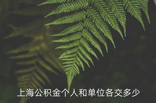  上海公積金個人和單位各交多少