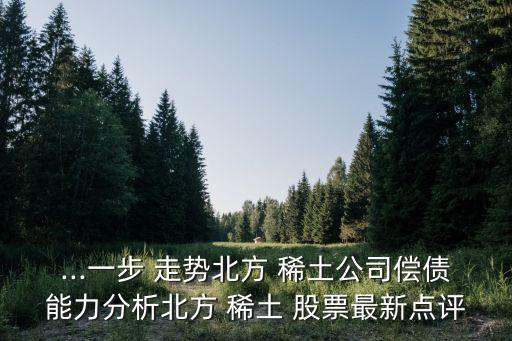 ...一步 走勢北方 稀土公司償債能力分析北方 稀土 股票最新點(diǎn)評