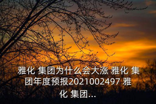  雅化 集團為什么會大漲 雅化 集團年度預(yù)報2021002497 雅化 集團...