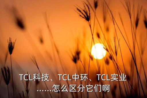 TCL科技、TCL中環(huán)、TCL實業(yè)……怎么區(qū)分它們啊