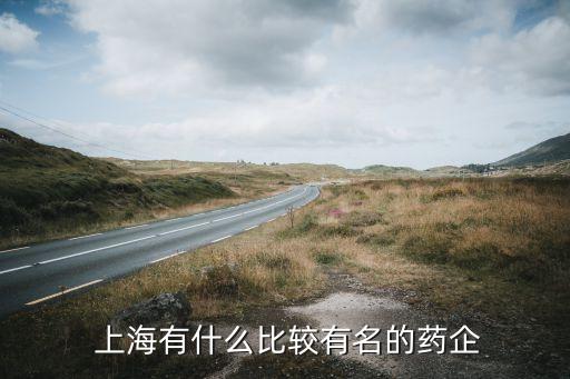  上海有什么比較有名的藥企