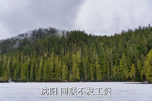 沈陽(yáng) 同聯(lián)不發(fā)工資