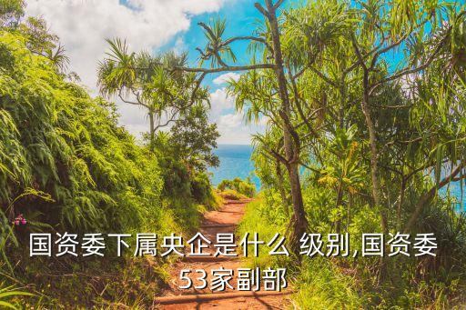 中國投資有限責(zé)任公司級(jí)別,正部級(jí)央企只有四家名單