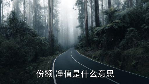  份額 凈值是什么意思