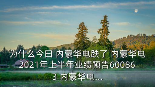 為什么今曰 內蒙華電跌了 內蒙華電2021年上半年業(yè)績預告600863 內蒙華電...