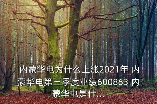  內蒙華電為什么上漲2021年 內蒙華電第三季度業(yè)績600863 內蒙華電是什...