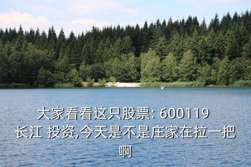 大家看看這只股票: 600119 長江 投資,今天是不是莊家在拉一把啊