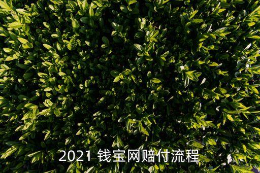 2021 錢寶網(wǎng)賠付流程