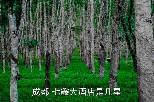 七鑫金融集團(tuán)簡(jiǎn)介,韓國韓亞金融集團(tuán)簡(jiǎn)介