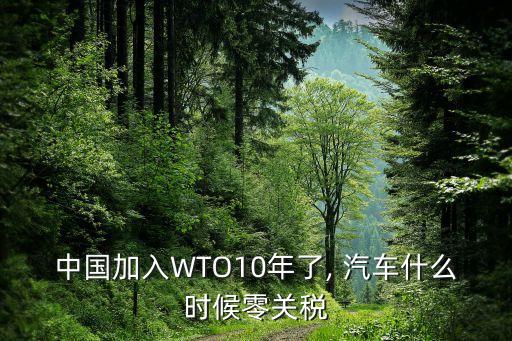 中國(guó)世貿(mào)保護(hù)期汽車(chē),世貿(mào)20年保護(hù)期