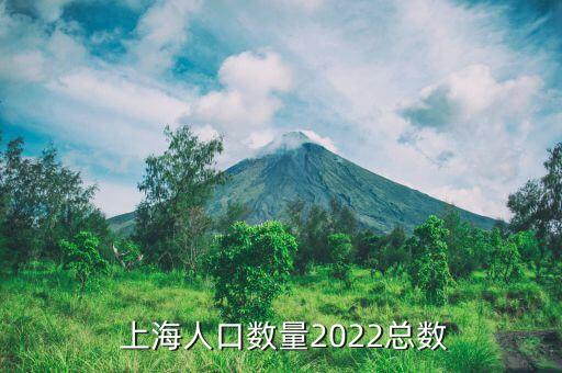  上海人口數(shù)量2022總數(shù)