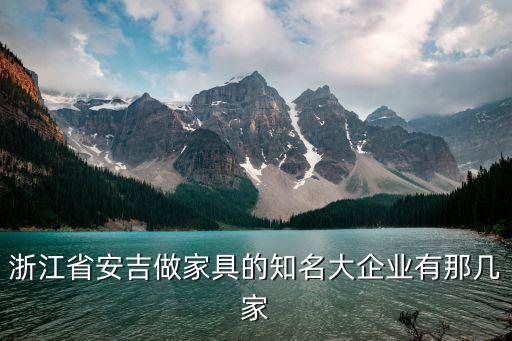 浙江省安吉做家具的知名大企業(yè)有那幾家