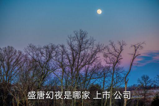 盛唐幻夜是哪家 上市 公司