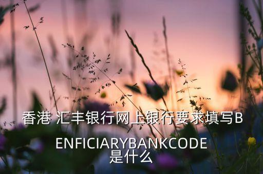  香港 匯豐銀行網(wǎng)上銀行要求填寫B(tài)ENFICIARYBANKCODE是什么