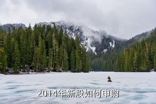 2014國(guó)家投資股票,國(guó)家公職人員可以投資股票嗎